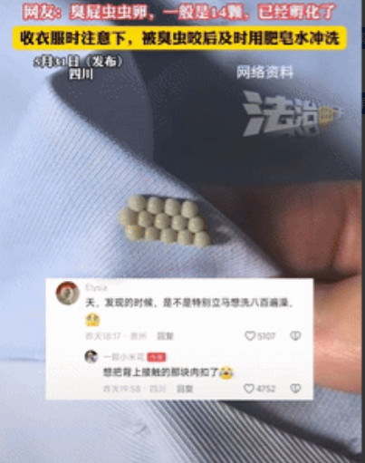 “简直防不胜防！”四川一女子穿内衣时感到后背不舒服，就扯掉来看，不料，女子看到内
