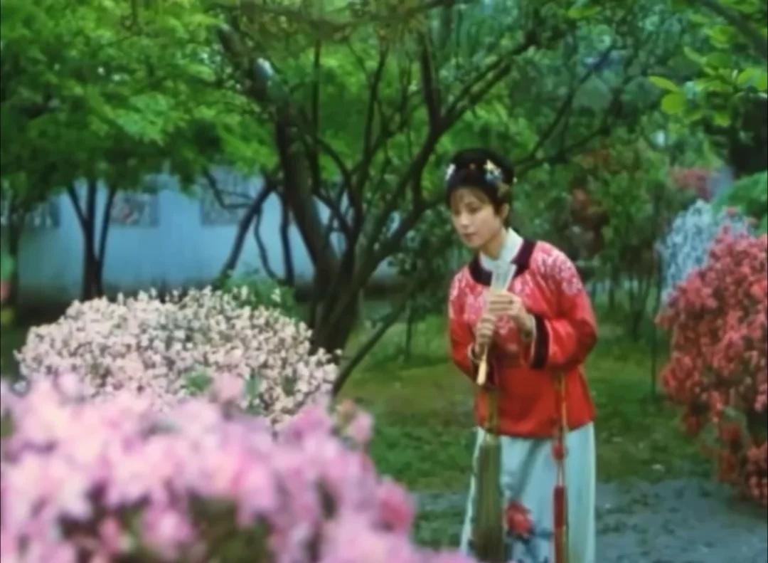 89影版红楼梦的宝钗扑蝶好鲜活呀傅艺伟演得也太好了！最后没有扑到蝴蝶，还气呼