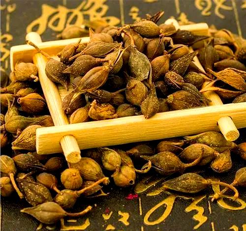 甲流爆发别慌乱，存好两个实用药，一家老小的感冒都能应对 最近甲流又要迎来高峰