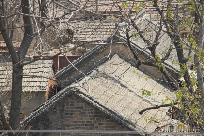 闲来无事研究了下百家姓，发现还挺有意思，有些姓倒过来写居然不变。像“田”姓，不管