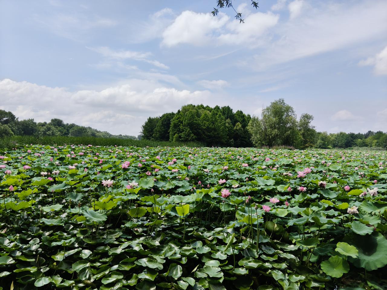 我遇到的势利眼老师我生活在胶东沿海的小山村，上高中之前，连县城也没去过几次。