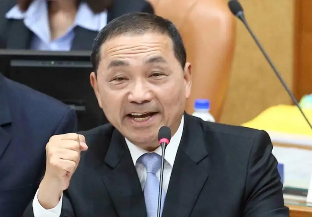 侯友宜就不要出来选国民党党主席了，因为绿营最期待侯友宜出来当国民党党主席。郑丽