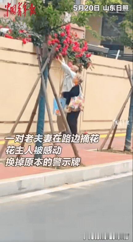 太治愈了！山东日照，女生种的花伸出了墙头，怕被人乱掐，女生便在墙边贴上了“禁止摘