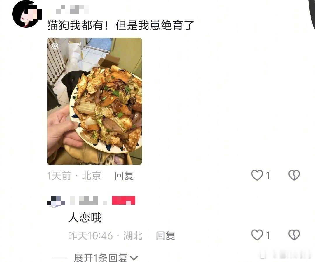 🥝的携宠恋综《摇着尾巴说爱你》导演招嘉宾评论区一堆主人以为是要给自己家猫狗找对