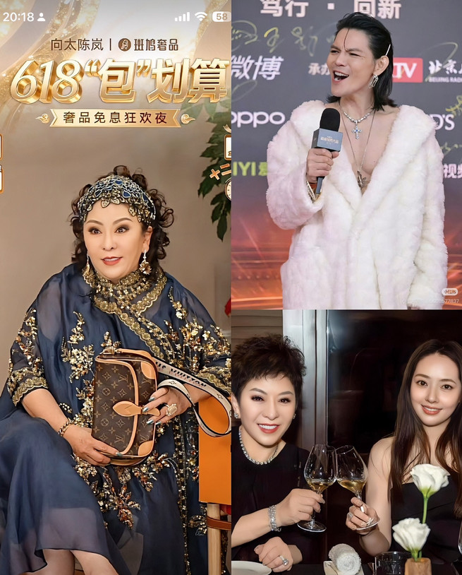 可怜天下父母心！向太62岁本该安享晚年，却瘸腿直播带货、参加节目，全因败家儿