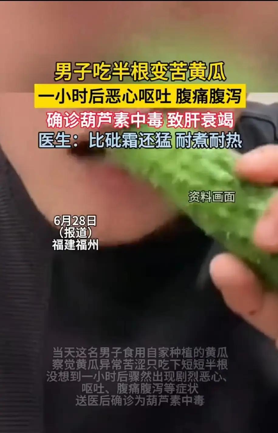 男子吃下半根发苦黄瓜后突发身体不适，就医确诊急性肝衰竭。医生解释，苦黄瓜富含剧毒