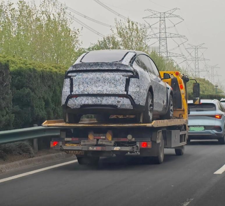 特斯拉又有新瓜了？有网友路上拍到的伪装车，疑似廉价版ModelY，这传闻一直有