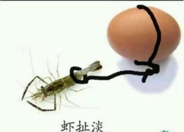 我送给你三个字，注意看图