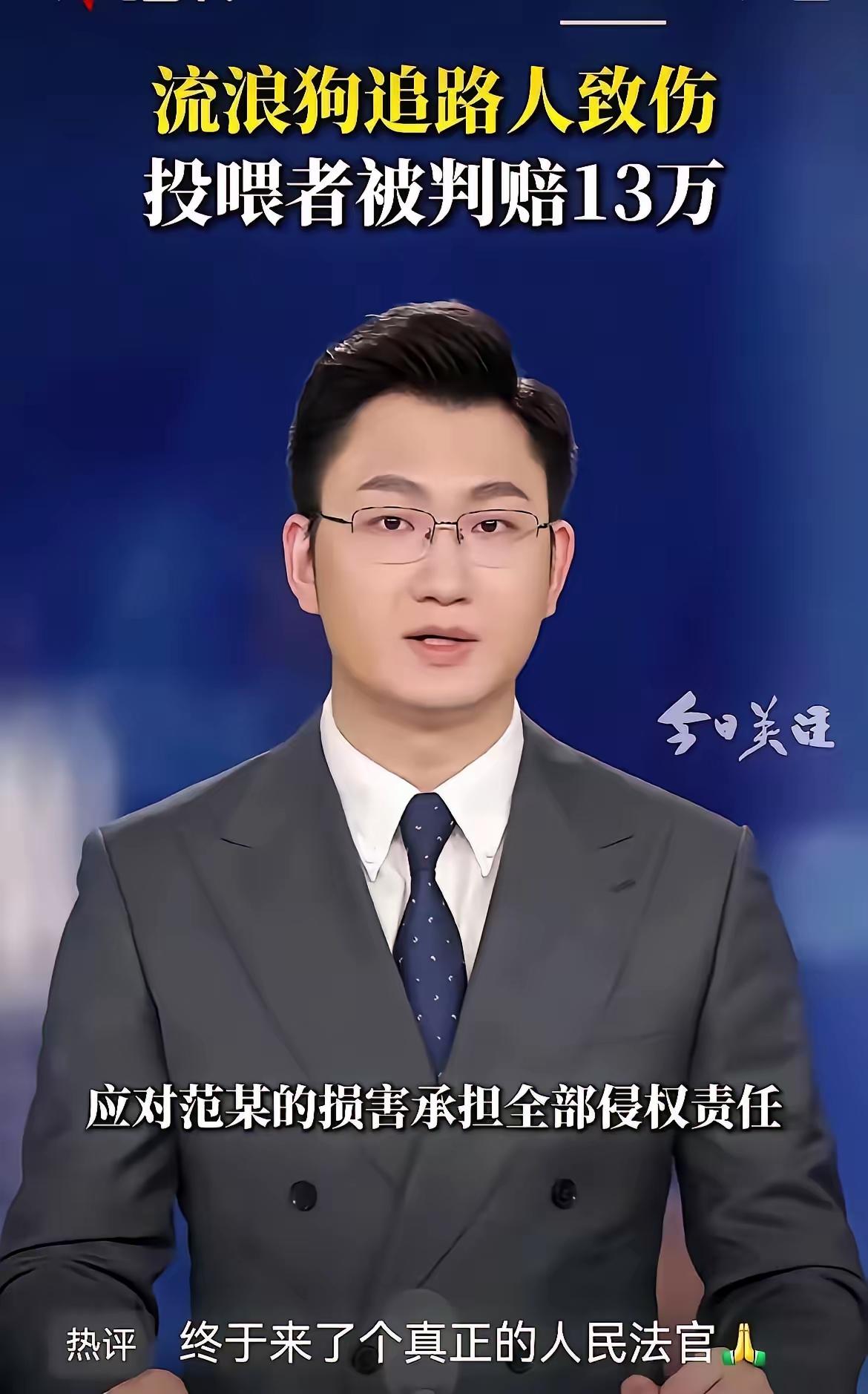 新疆这个案子，直接把“爱狗责任”给整明白了🧐​一大哥，天天给楼下流浪狗开小灶