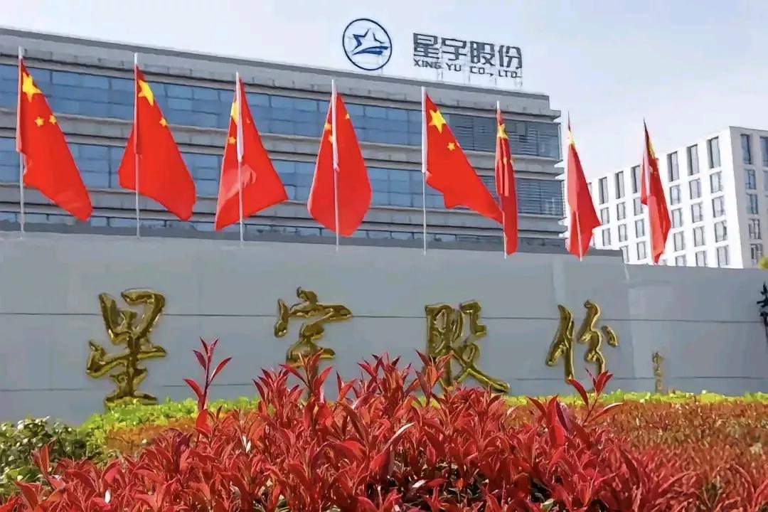 星宇公司现在是臭名昭著，不仅HR被撤职，股票猛跌，估计以后再也没有大学生来这里实