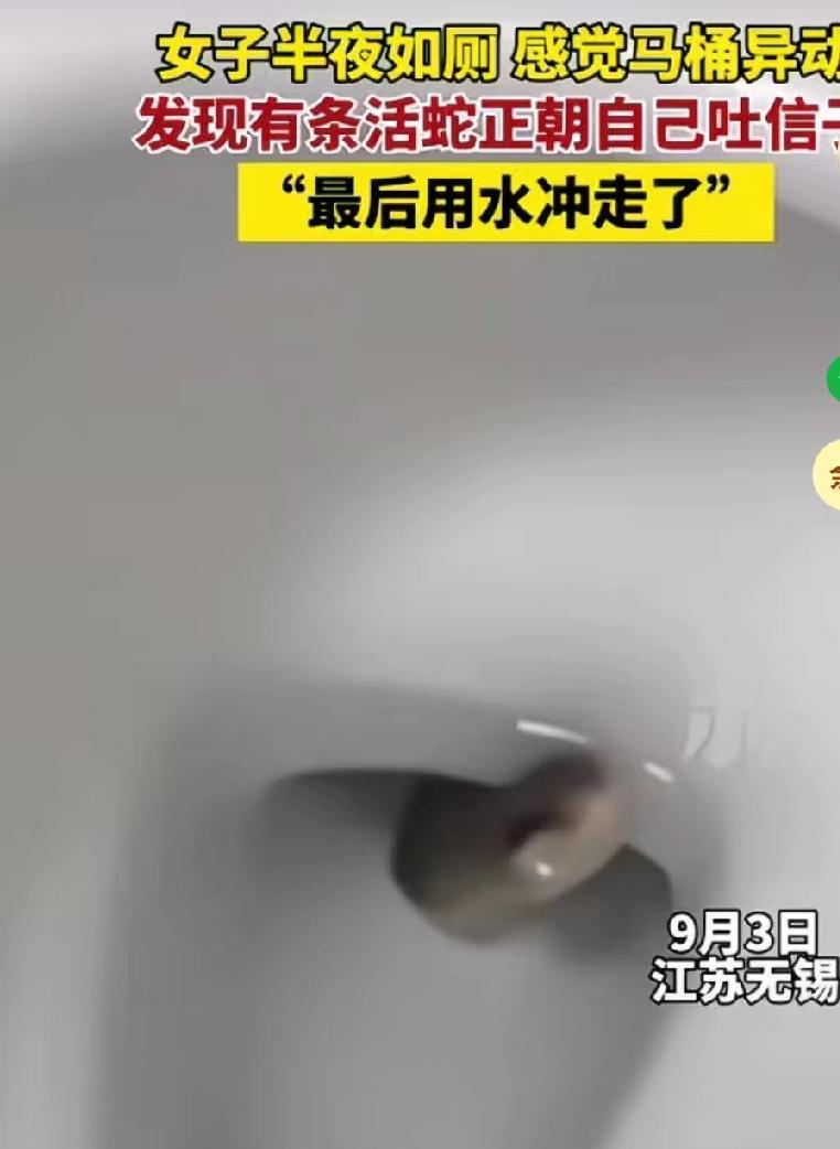 9月3日，江苏无锡李女士，半夜上厕所，看见便池时有一条蛇正在向她吐信子，吓得她赶