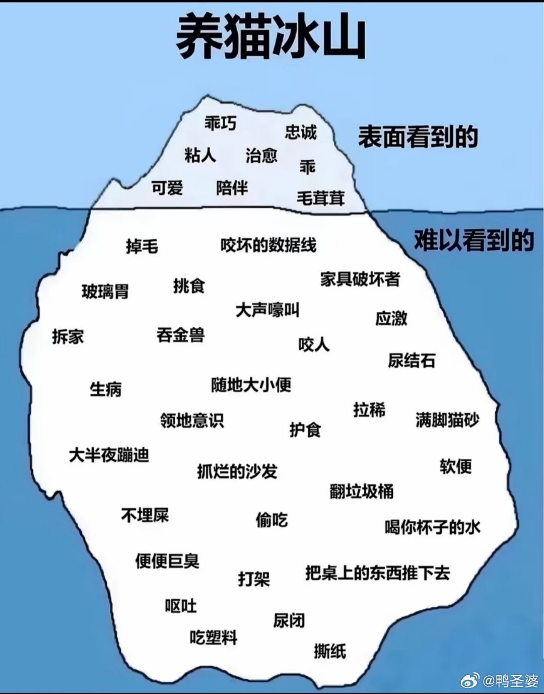 -我觉得应该有更多人看到这张图养猫(养宠)从来不该是一时兴起的念头，而是十几年的