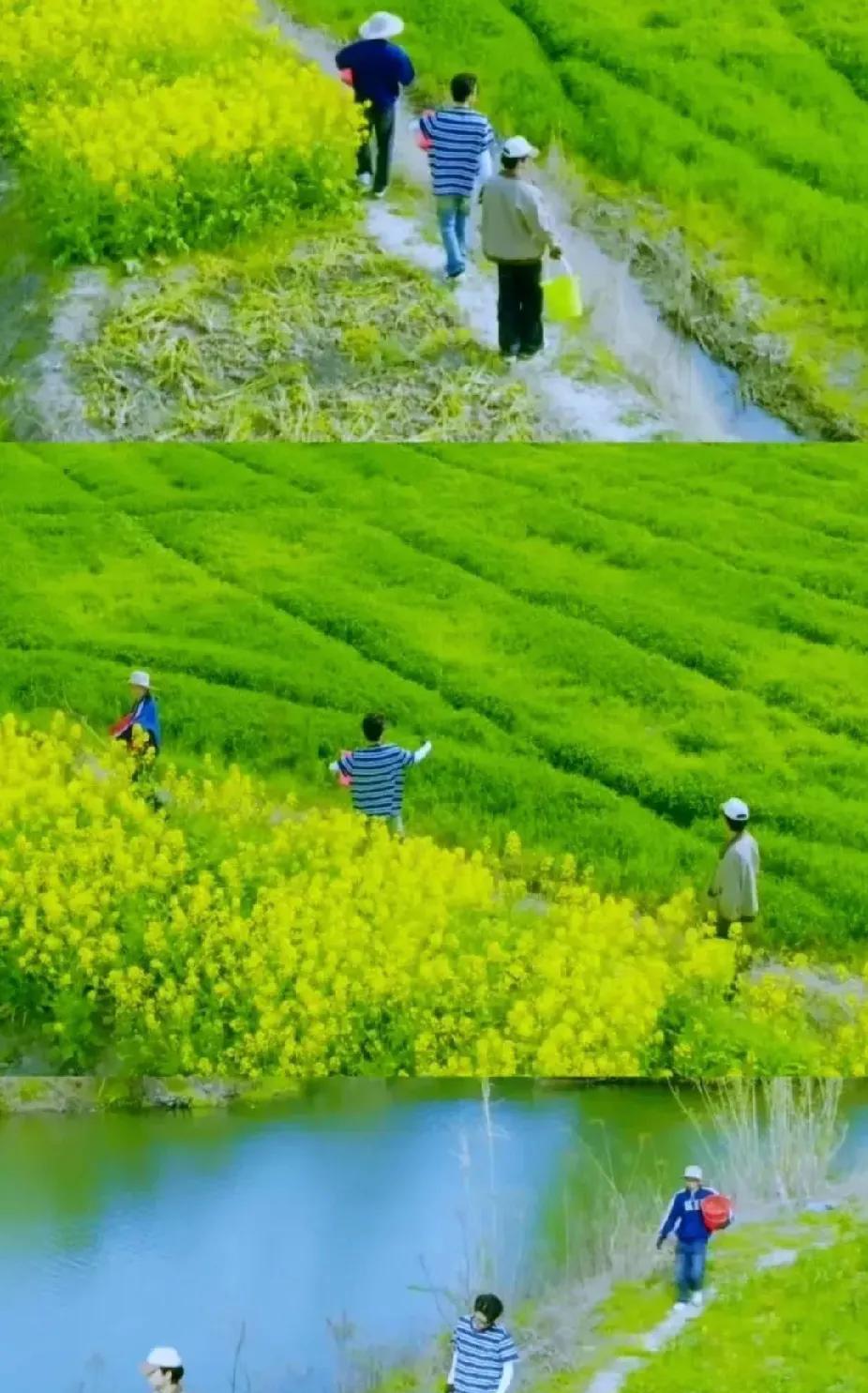 杨幂在山东临沂拍摄《生万物》已四月，取景地常是无商店、外卖和信号的地方，还总暴晒