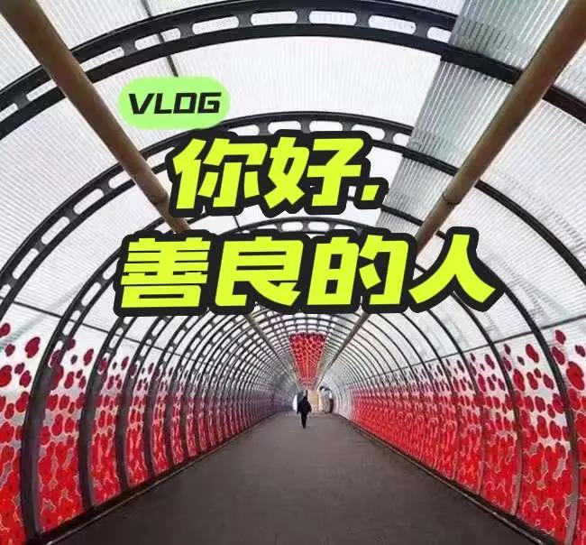 你好，善良的人。在搞一种很新的旅行vlog第一次看展当然要记录我用摄影看世界
