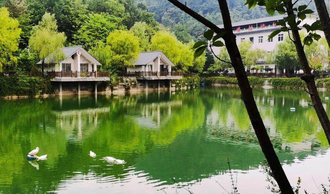 今天带货只赚26万，利润薄到贴地皮，全靠冲销量！”——屏幕里，主播一把鼻涕一把泪