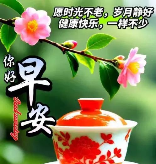 🌞[玫瑰]时间在走，年龄在变；人生有缘，风雨不散；见与不见，都在挂念[玫瑰