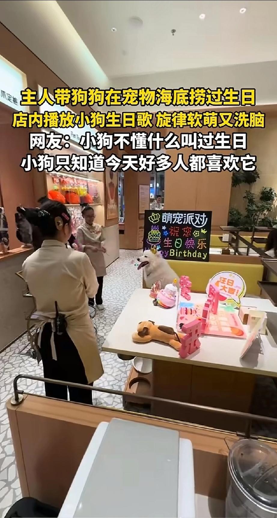 当看到海底捞给狗过生日的时候。我感叹盛世中华的伟岸。生在华夏的一只狗，都可以