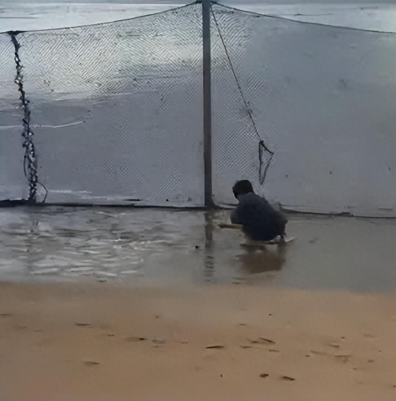 海滩啥时候也成私有的了？浙江宁波，一游客带孩子去沙滩游玩，却发现滩涂被围网圈占，