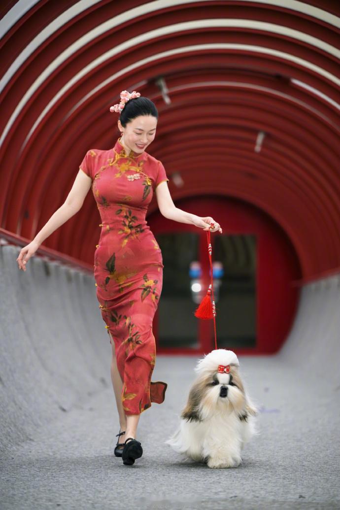 不得不说，45岁的霍思燕身材依然这么火辣。这几天，霍思燕的狗在国外得了冠军，