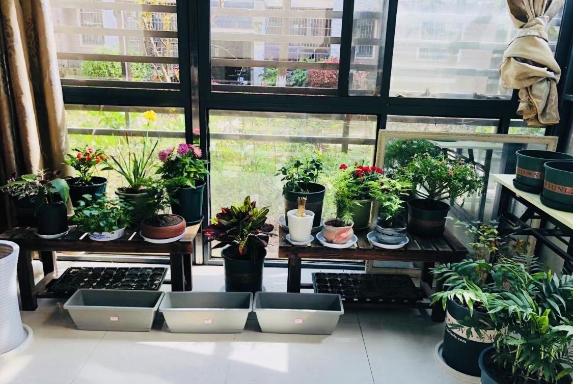 不是说写的东西不能评论，有观点可以讨论，请文明用语，当然欢迎。但是故意说脏话，