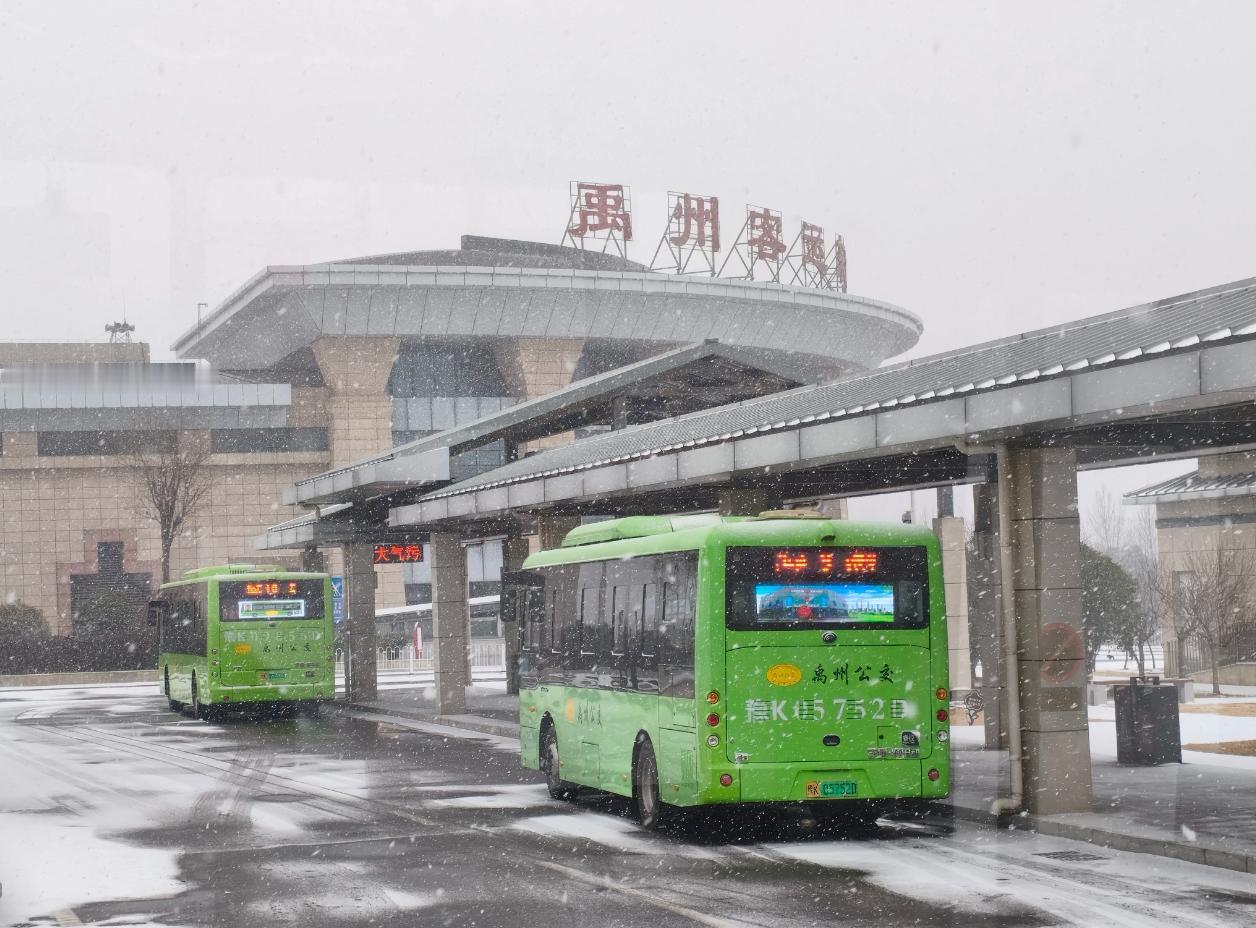 这天气也太“猝不及防”了，暴雪裹着冻雨说来就来！最近河南的街上随处可见树被积