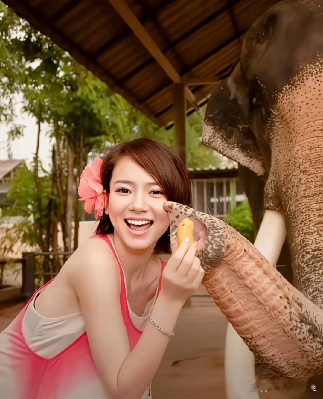 戚薇刚出道的时候。