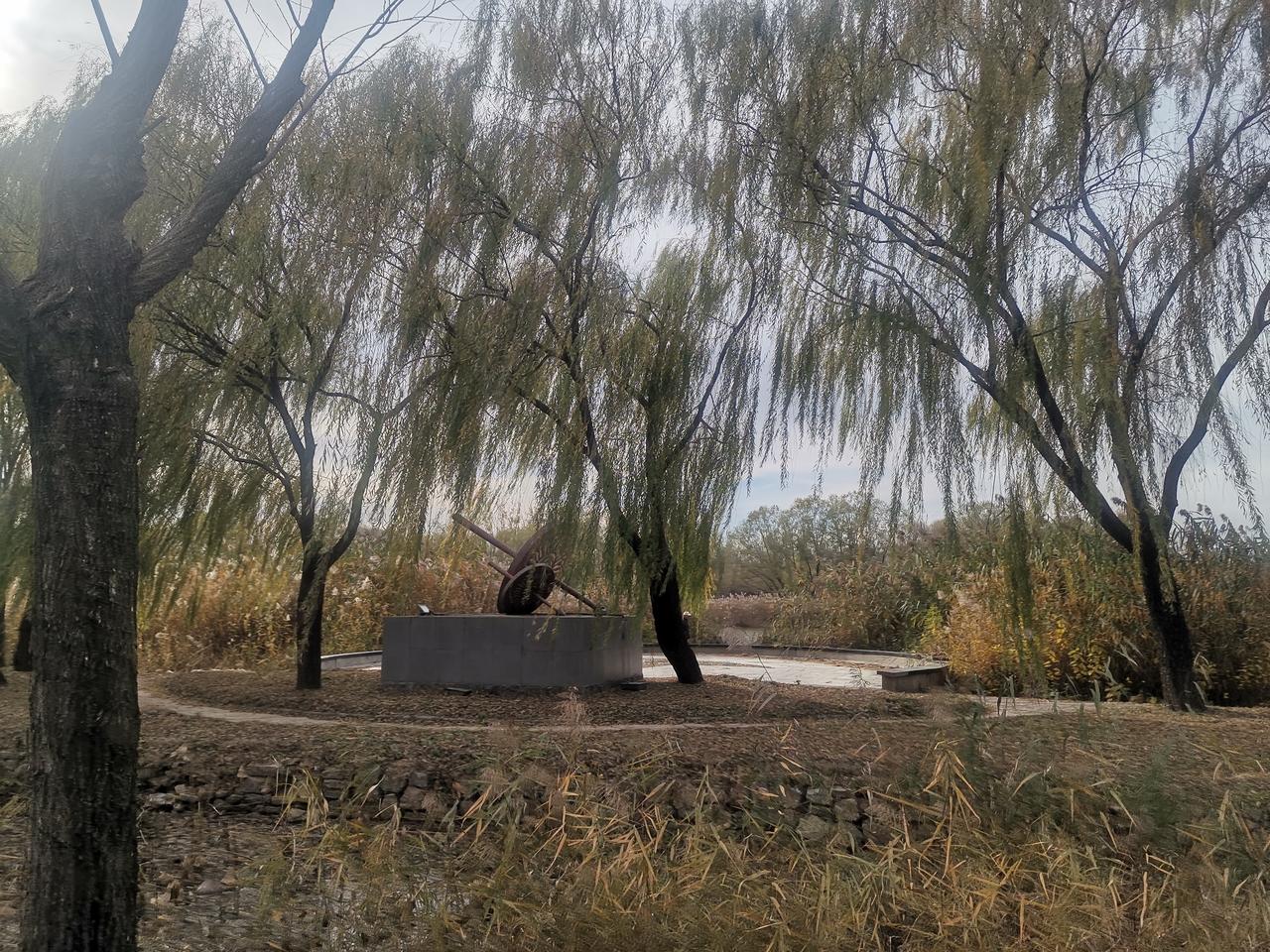 冬日生活打卡季冬日的河边，真的是一幅独特的画卷。杨柳虽已不复春日的翠绿，却依旧