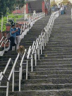 玩心太大还是太年轻，你看齐天大圣什么时候干过这么无聊的事。