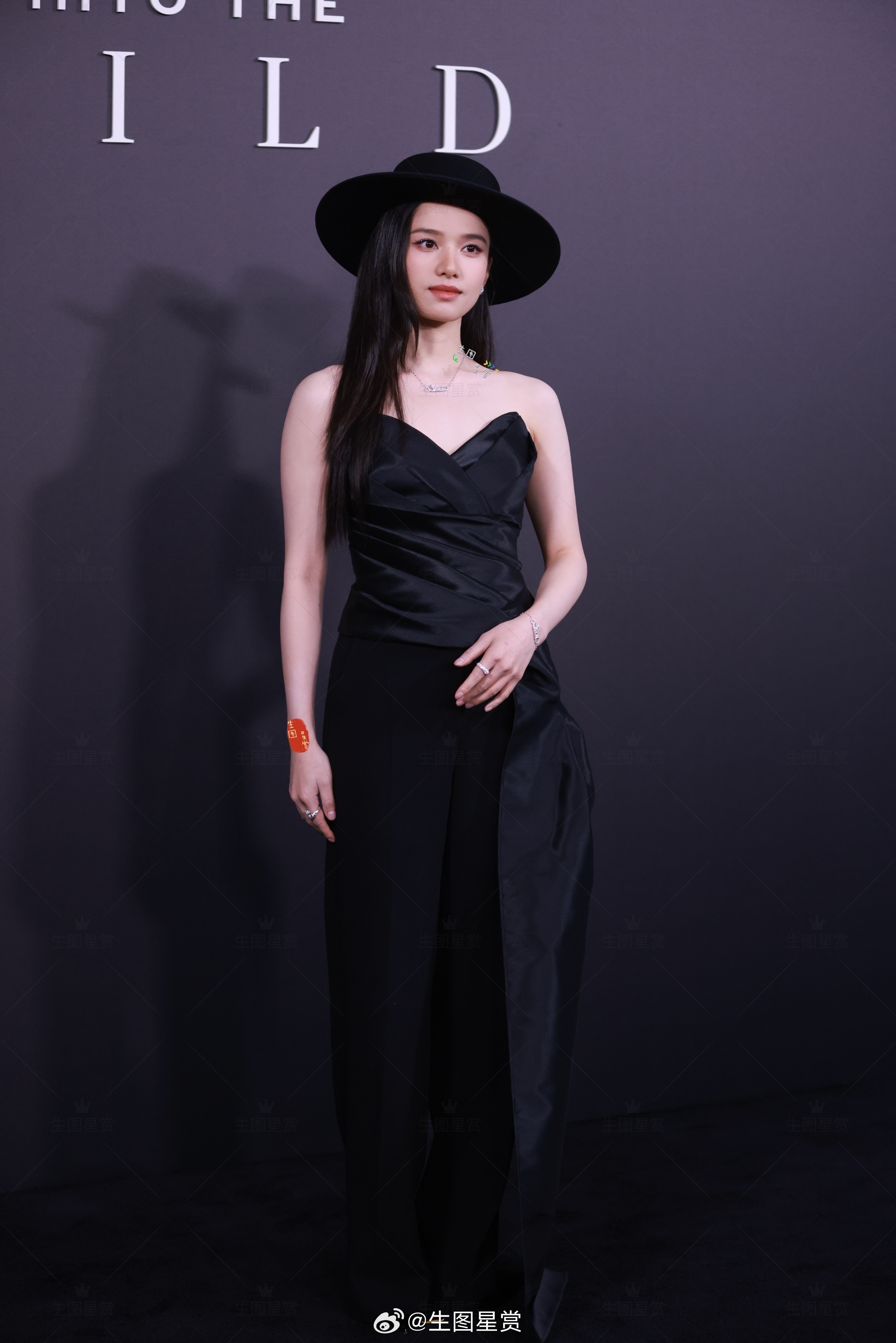 公主仪，美来的🖤张婧仪卡地亚机位二生图直出​​​