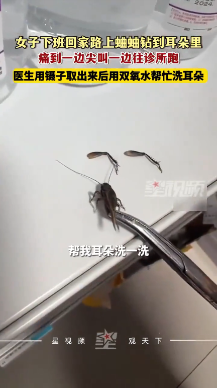 “活该这医生发财！”江苏，一女子走在路上时，突然有蟋蟀钻进她的耳朵，女子疼得大声