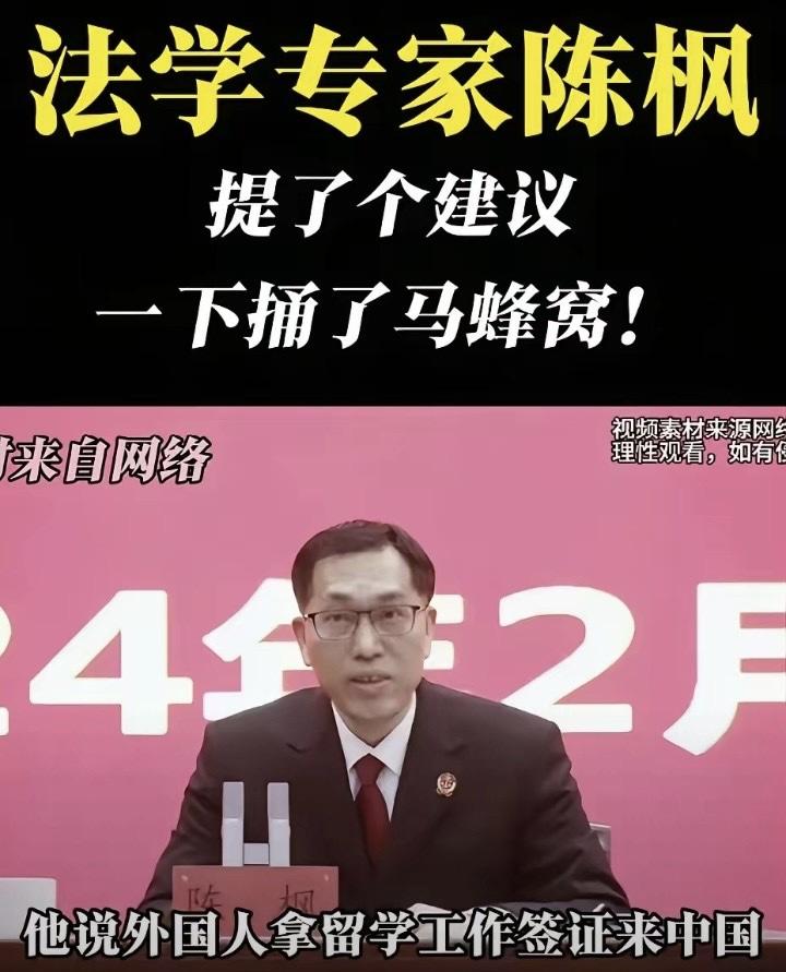法学专家陈枫一项入境管控新规的提议，直接戳中了国门安全的痛点。他建议所有持留