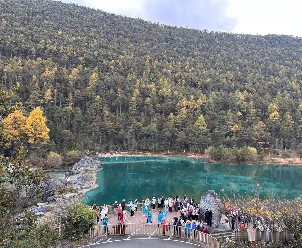 满心期待冲玉龙雪山，结果从云杉坪逛到蓝月谷，先被一波“套路”浇了冷水。明明到蓝月