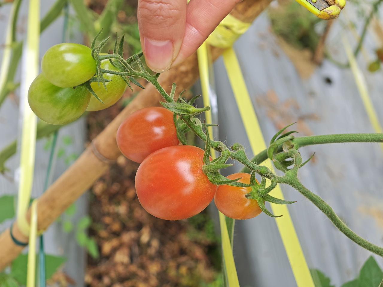 别说年轻人了，40多岁的我也开始了改变。今年元旦回家，已经是空着手回爸妈家。以