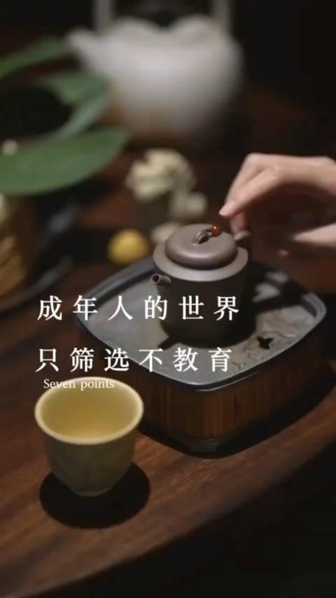 一句很有道理的话：“依赖任何人都是在自杀，你一定要明白，大树底下无大草，能为你遮