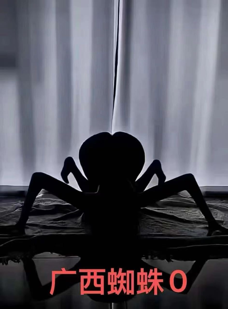 蜘蛛精🕷️