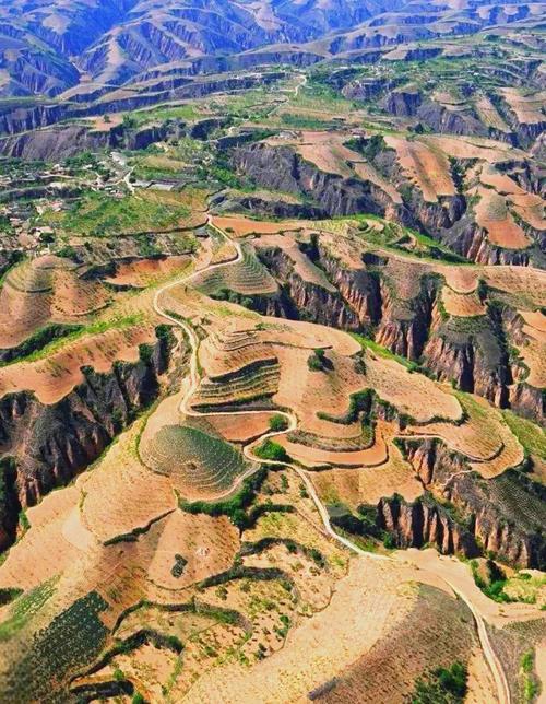 虽然如今黄土高原，沟壑纵横，水土流失，但在几千年前黄土高原也曾经是孕育文明，绽放