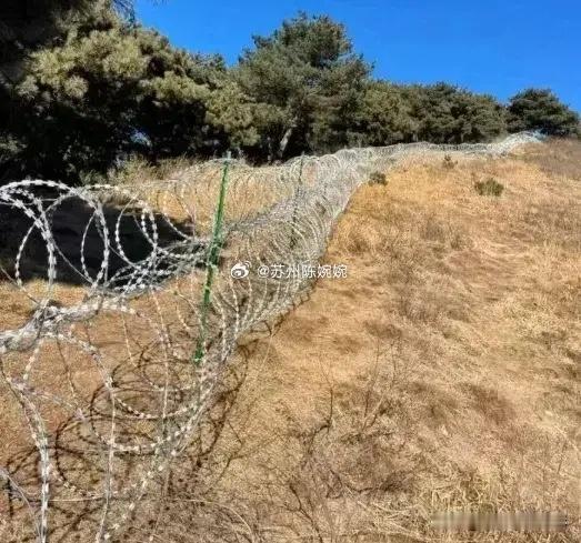 泰山那个曾被骂上热搜的天价防护网拆除后，所有人以为事情翻篇了，哪料一个更恐怖的真