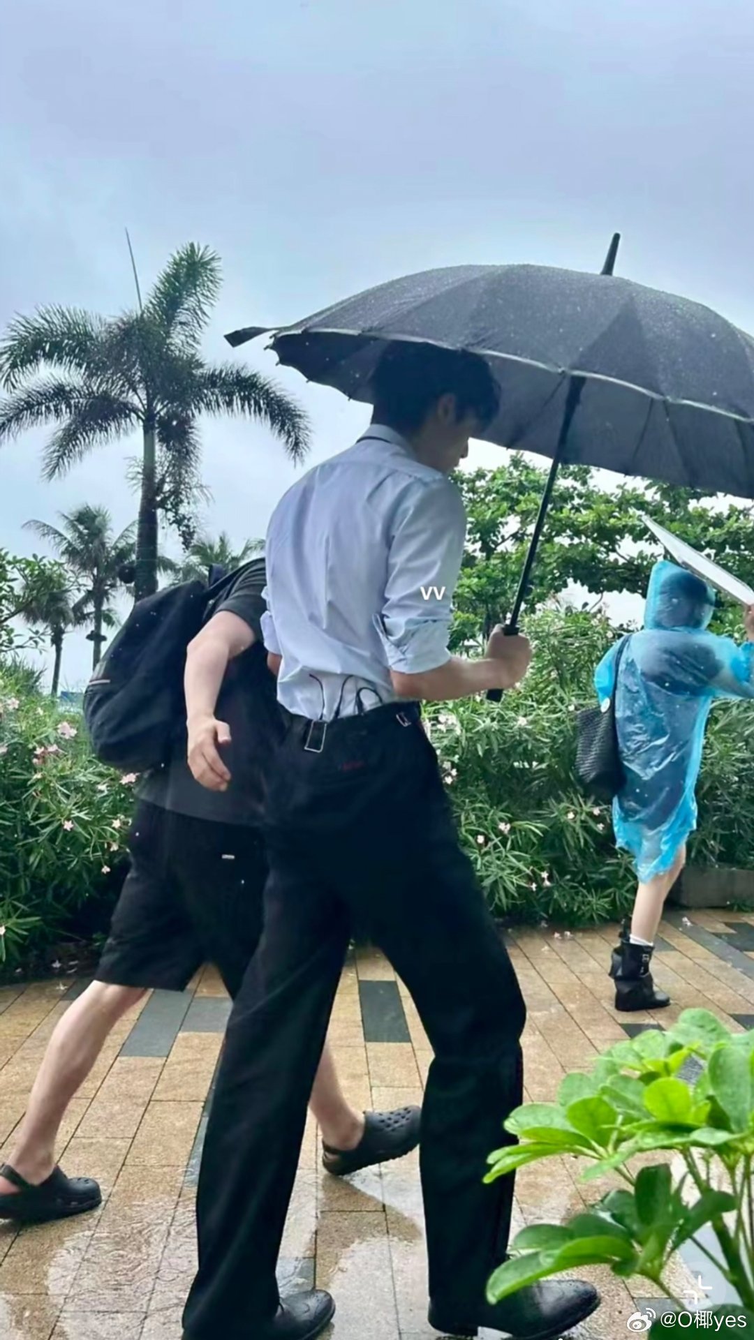 我嘞个大长腿啊宋威龙野狗骨头|宋威龙野狗骨头