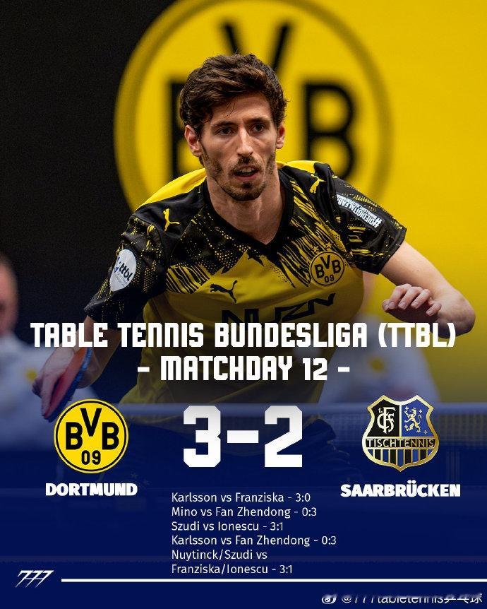 樊振东独得2分难救主! 乒乓球德甲: 萨尔布吕肯2-3客负多特蒙德