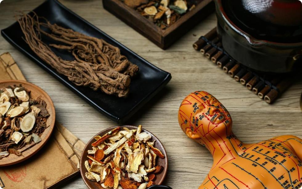 肾阳虚我不用金匮肾气丸，这个更好！温阳不上火，补足一身阳气大家好，我是陈大夫。