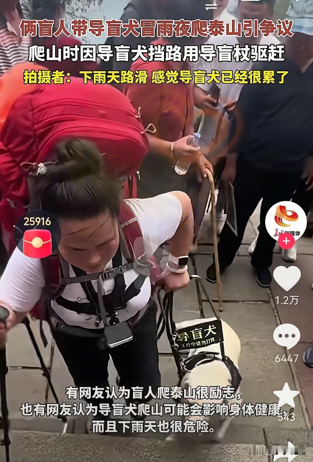 一直打心底尊重残障人士，可有些行为实在让人意难平！有位视障人士带着导盲犬芬迪