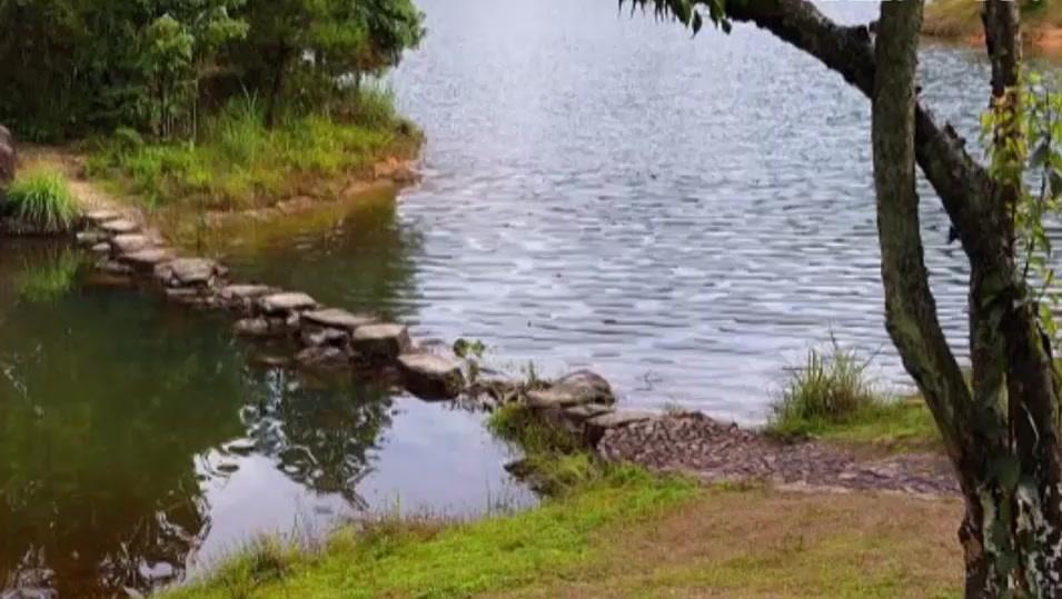 舞蹈,花楼恋歌(群舞)_土豆视频