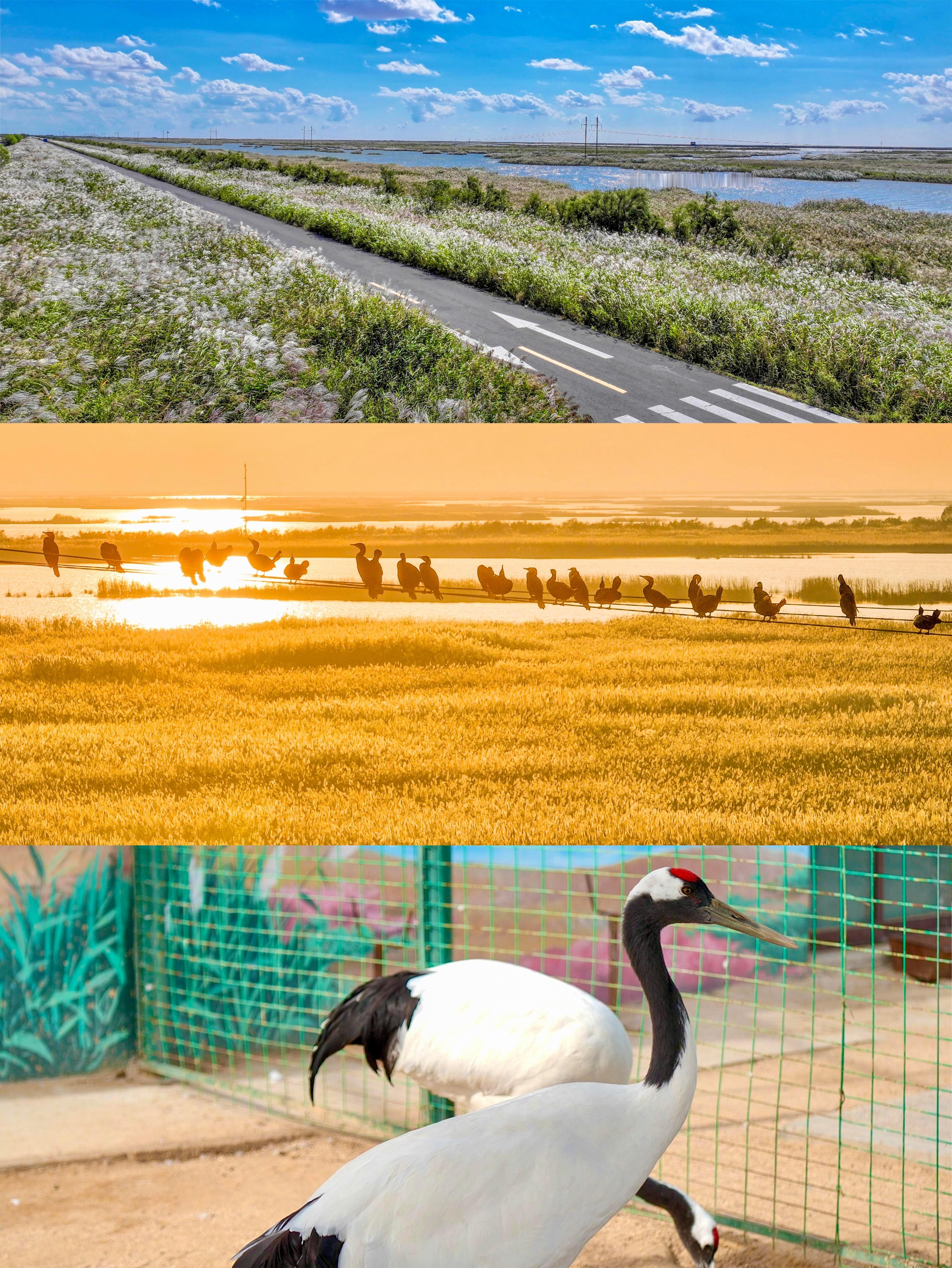 山东被严重低估的海边小城