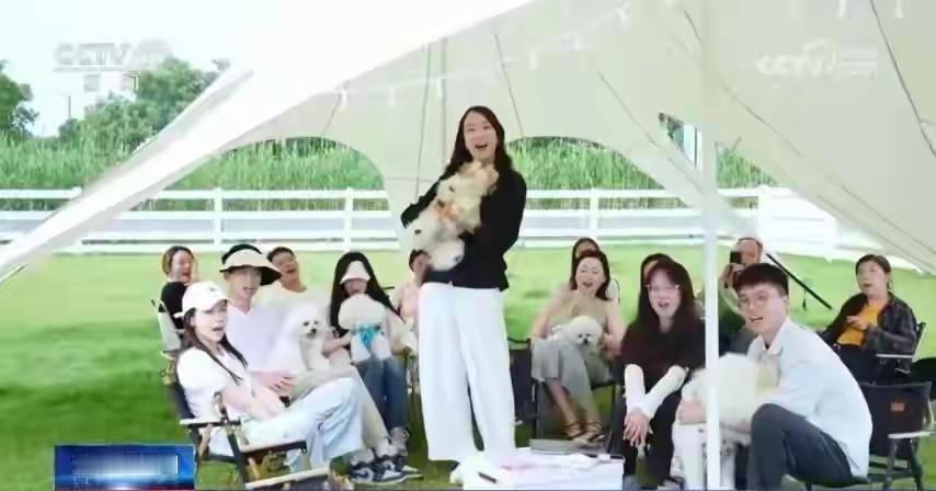 南京搞宠物经济，我坚决反对！如今宠物市场乱象丛生，黑猫投诉平台收到猫咪相关投诉达