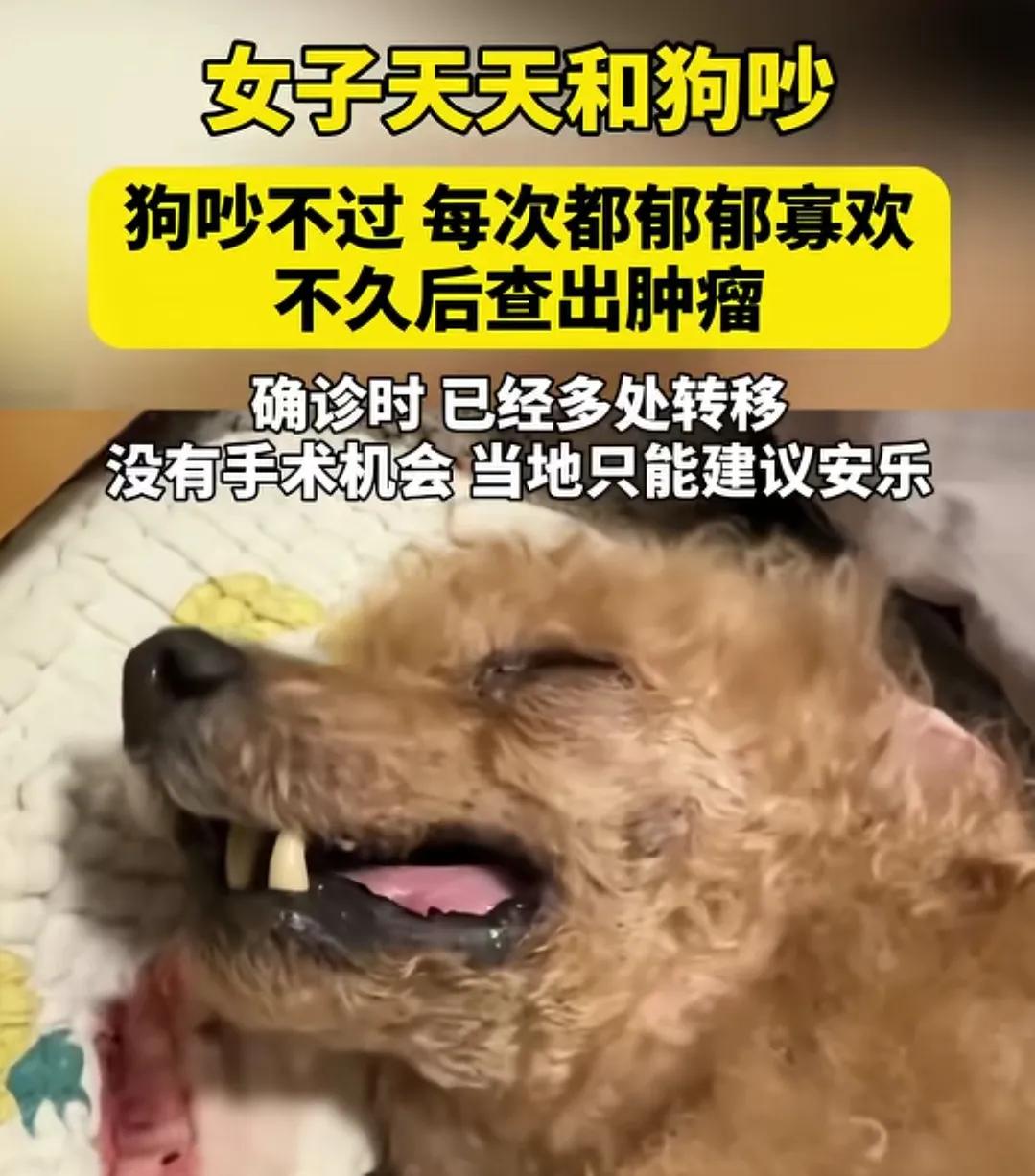 “悲剧还是发生了！”一位女子天天跟自家狗狗吵架，狗狗很温顺，从不冲主人发脾气，每