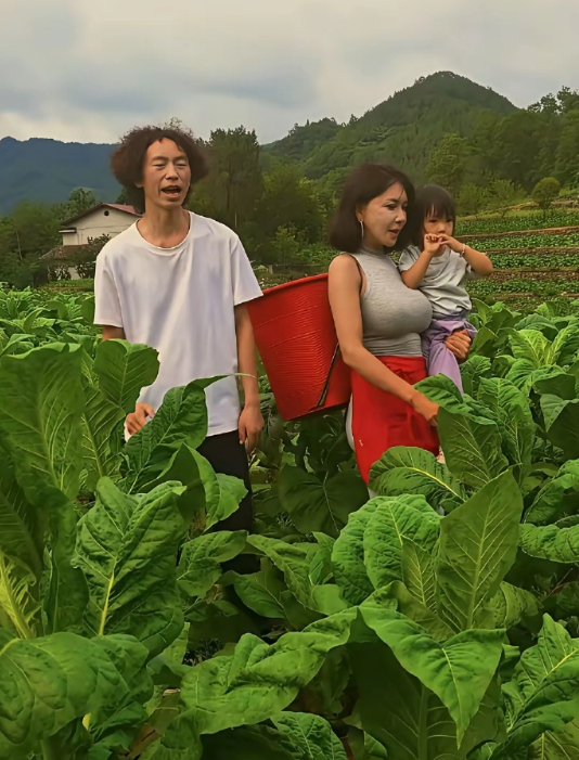 龚玥菲背着桶，抱着女儿，干爸庞麦郎唱着《我的父亲是瓦匠》，一家三口站烟地里，其乐