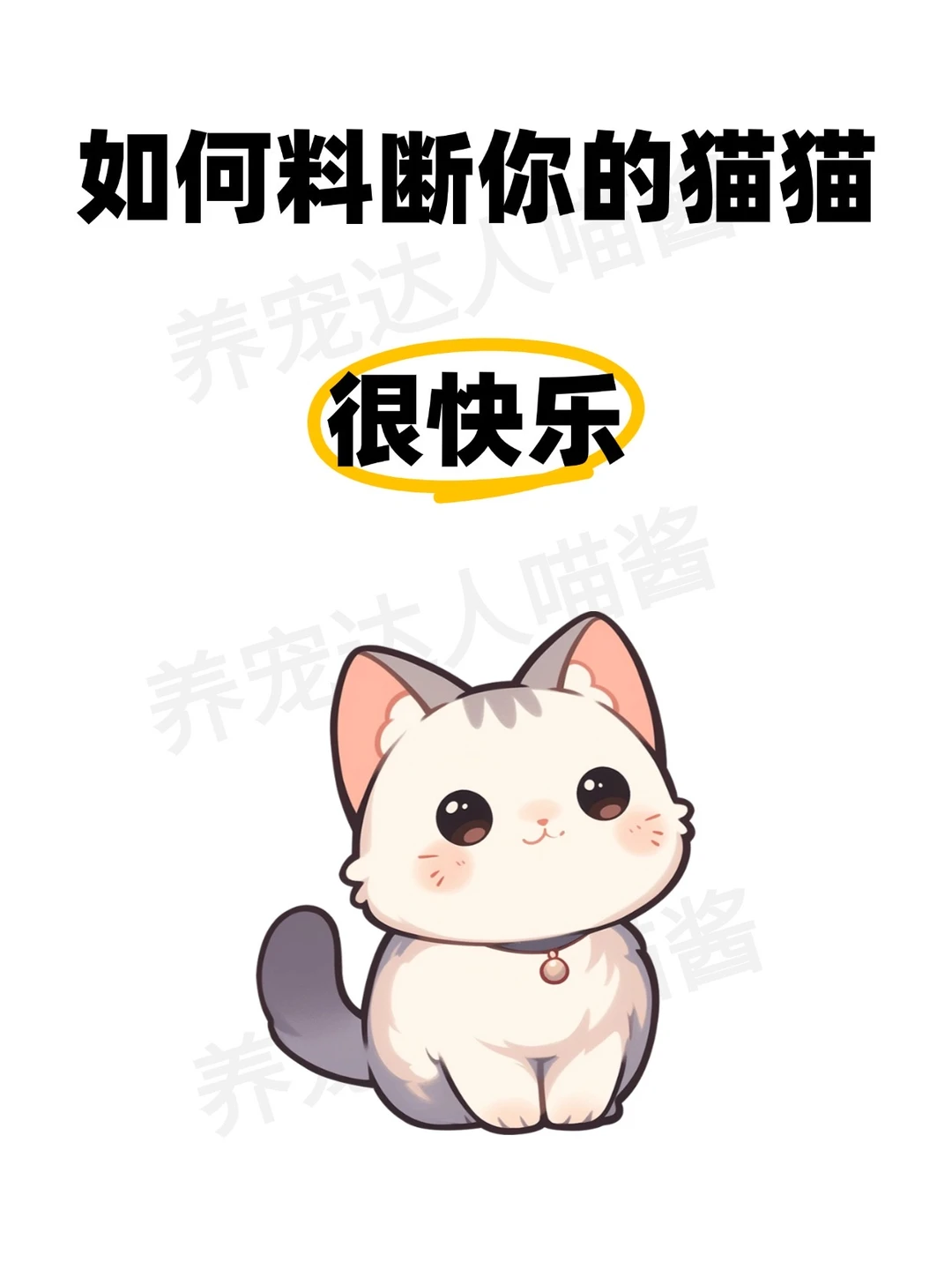 如何判断你的猫咪很快乐
