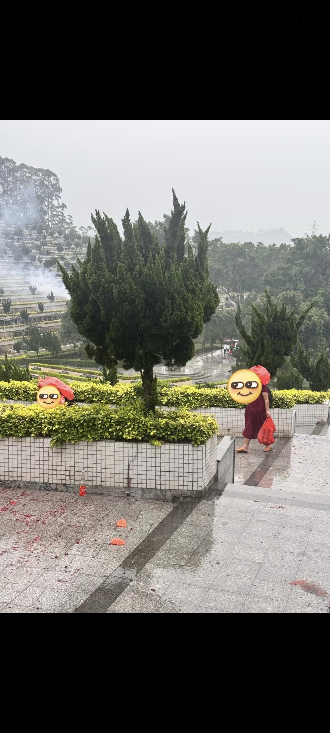 墓地秒变“自助餐厅”，荒诞背后藏着生存的哲学！祭拜者前脚刚走，阿姨后脚杀到。