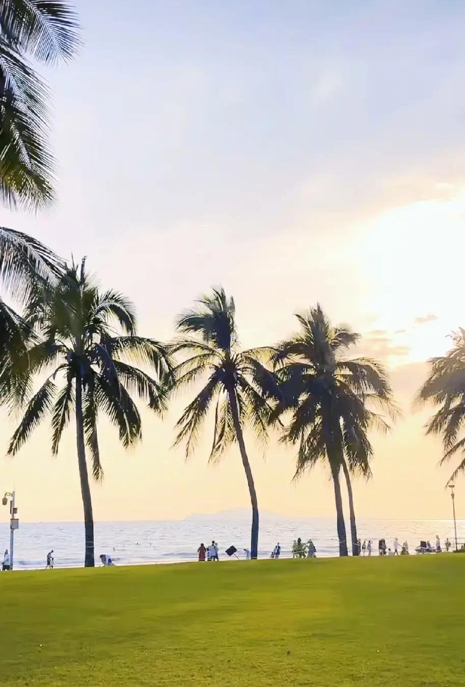 最近天天跟90多岁的老道医，真是越待越佩服，老人家说，翻开历史数据查一查，道家人