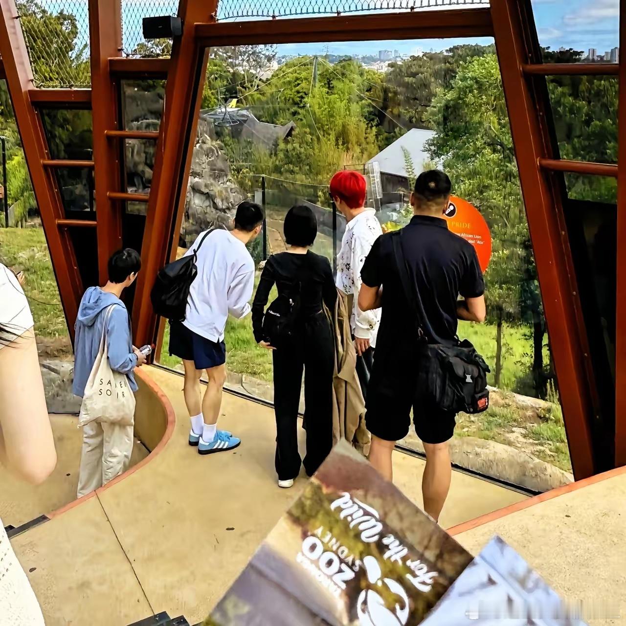 杨丞琳李荣浩悉尼物园游玩！李荣浩那头红发也太亮眼了，夫妻俩打扮得潮范儿十足，这跨